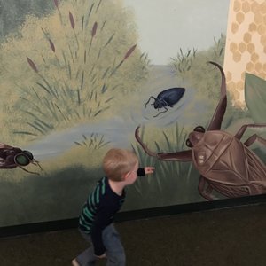 INSECTROPOLIS - 39 Photos & 19 Reviews - 1761 Rte 9, Toms River, NJ - Yelp