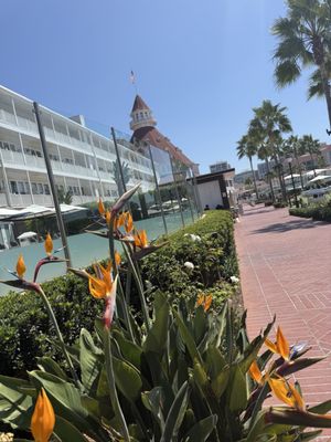 Nobu Del Coronado by null