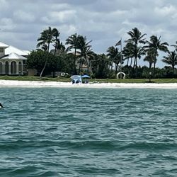 Naples Water Tours - First dolphins sighting