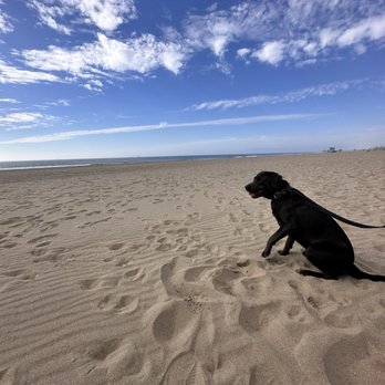 Hermosa Beach - Beaches Near Me - Hermosa Beach, California