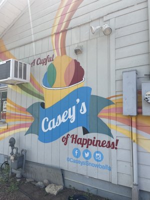 Casey's New Orleans Snowballs by null