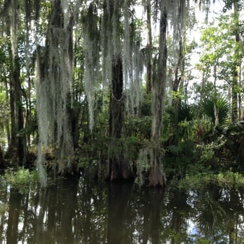 Airboat Adventures - Boat Tours Near Me - Lafitte, Louisiana Airboat Adventures - Boat Tours Near Me - Lafitte, Louisiana