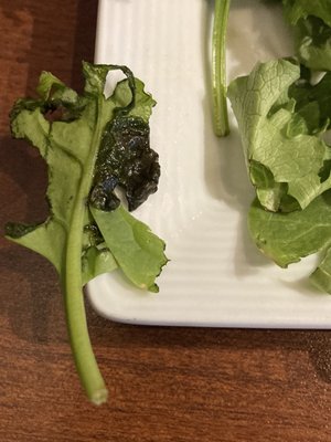 The Cove Restaurant and Lounge by null