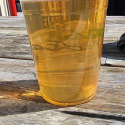6 Wards Brewing - Gose