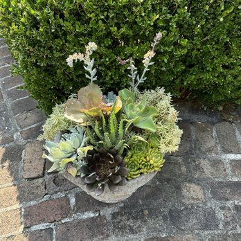 The Elizabethan Gardens - Succulents - Botanical Gardens Near Me - Manteo, North Carolina The Elizabethan Gardens - Succulents - Botanical Gardens Near Me - Manteo, North Carolina