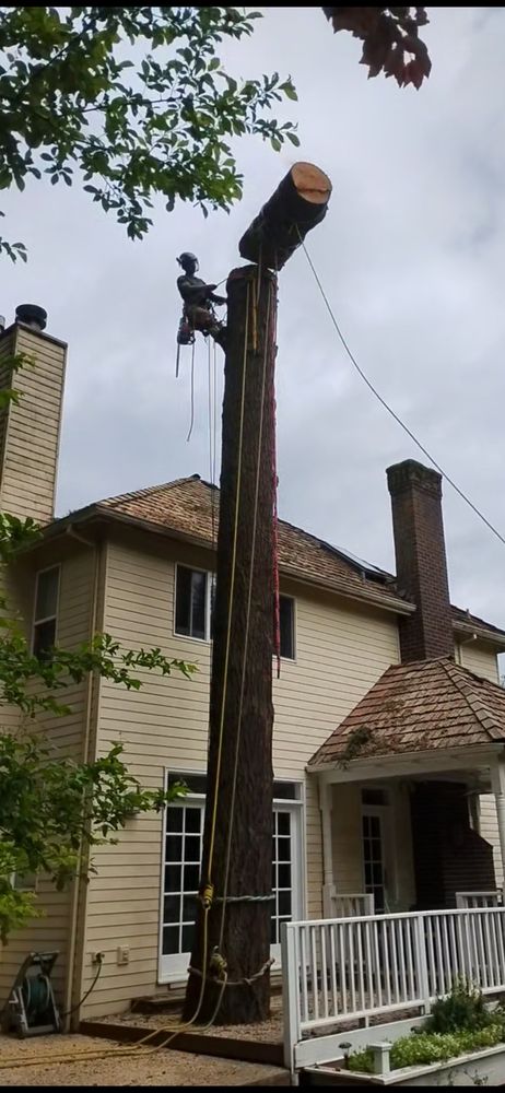 The Wood Cracker - tree service in Jefferson, OR