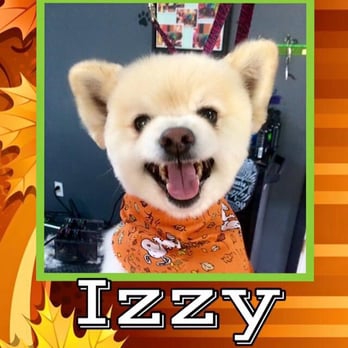 Funky Fresh Pet Grooming - Pet Groomers Near Me - Milford, Pennsylvania Funky Fresh Pet Grooming - Pet Groomers Near Me - Milford, Pennsylvania