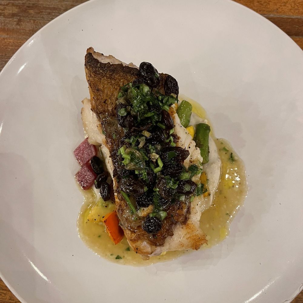 Campera - Fish - Hotels Near Me - Ensenada, BCN