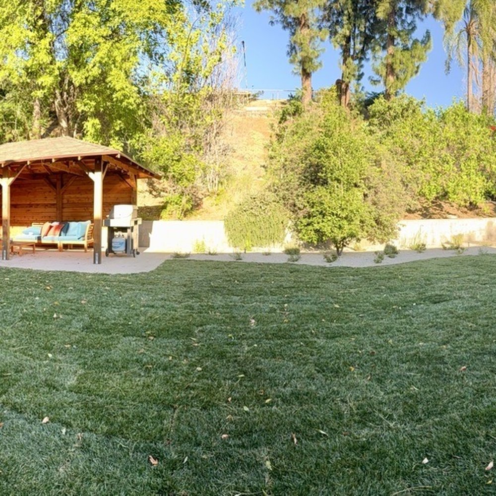 D Royal Landscape - Our new backyard landscaping with new RTF sod, planter areas with drought tolerant and native plants. - Landscaping Near Me D Royal Landscape - Our new backyard landscaping with new RTF sod, planter areas with drought tolerant and native plants. - Landscaping Near Me