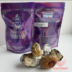 Rising Phoenix Entheogenic Temple Mushroom Church - Makilla Gorilla at Rising Phoenix Entheogenic Temple