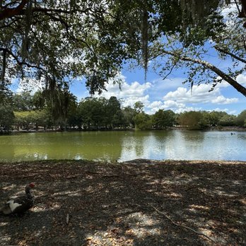 Leon's at Lake Ella - Lake Ella - Desserts Near Me - Tallahassee, Florida