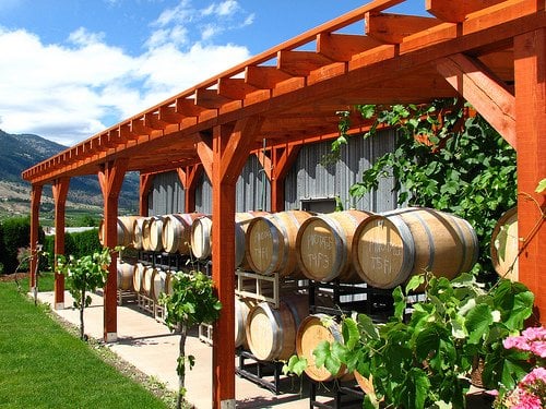 Stoneboat Vineyards by null