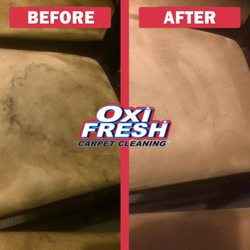 Oxi Fresh Carpet Cleaning