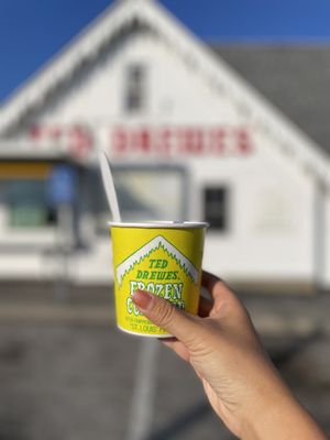 Ted Drewes Frozen Custard by null