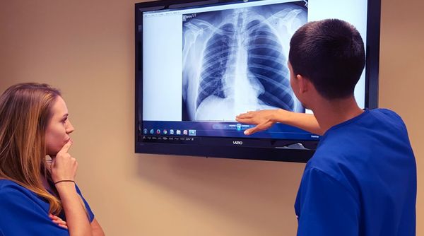 PIMA MEDICAL INSTITUTE - DENVER - Updated June 2026 - 15 Photos & 36 ...