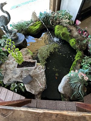 Fins, Furs N Feathers