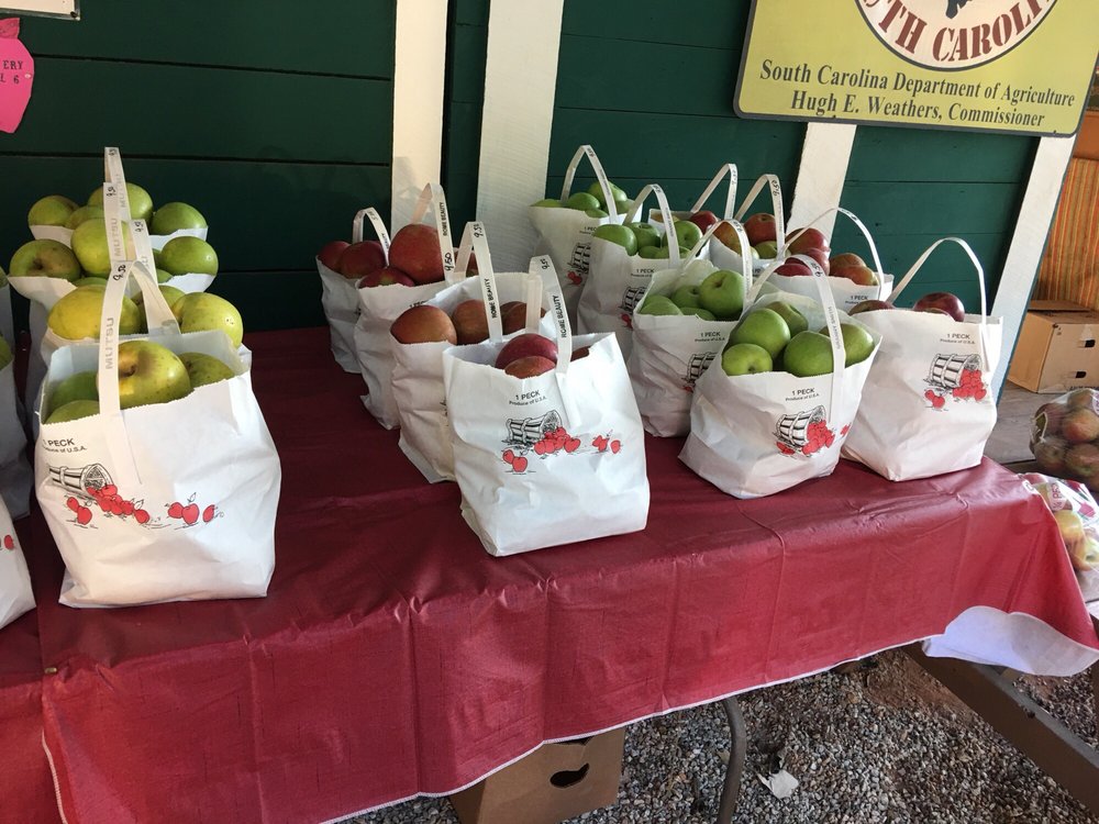 Bryson's Apple Orchard - beekeeping in Mountain Rest, SC