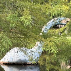 Jerrassic Park