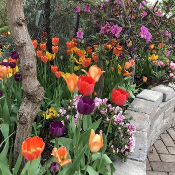Garfield Park Conservatory - Parks Near Me - Chicago, Illinois