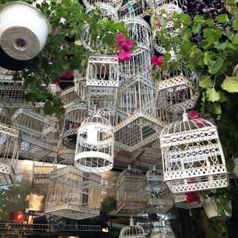 Dragon Flowers - Florists Near Me - Montreal, Quebec Dragon Flowers - Florists Near Me - Montreal, Quebec