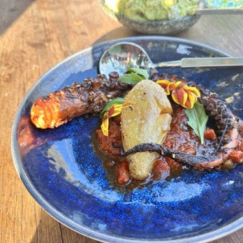 Renata's Hearth - Grilled octopus - Latin American Near Me - Phoenix, Arizona Renata's Hearth - Grilled octopus - Latin American Near Me - Phoenix, Arizona