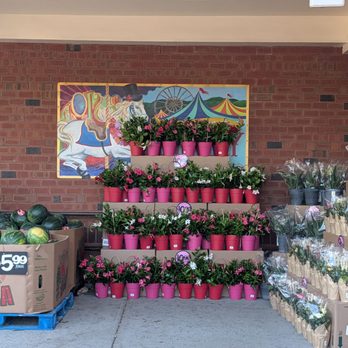 Trader Joe's - Grocery Near Me - Danbury, Connecticut