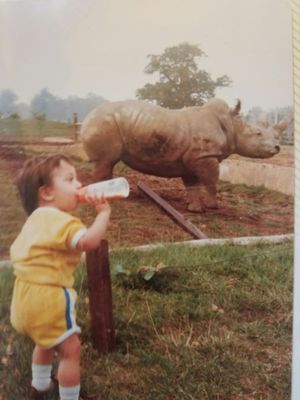 Cotswold Wildlife Park & Gardens by null