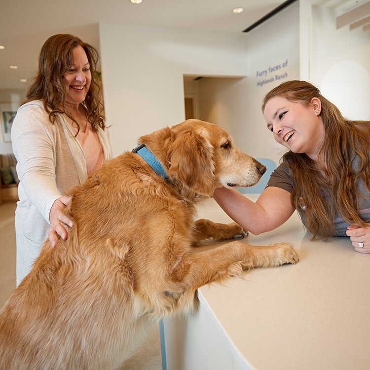 CHEWY VET CARE HIGHLANDS RANCH Updated September 2024 13 Photos