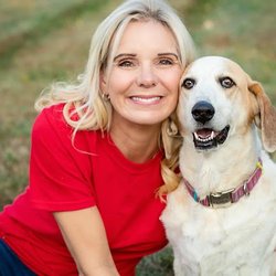 Gentle Dog Training