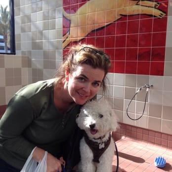 Pet Food Express - Pet Stores Near Me - Pasadena, California Pet Food Express - Pet Stores Near Me - Pasadena, California