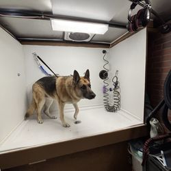 D2 Trailer Sales and Service - Pop air event that was installed by D2 Trailer. This was a trailer that was also purchased from D2 later modified for dog grooming