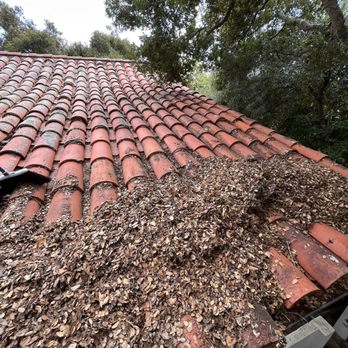BlueBird Window Cleaning  - Spanish tile roof clean up - Window Washing Near Me