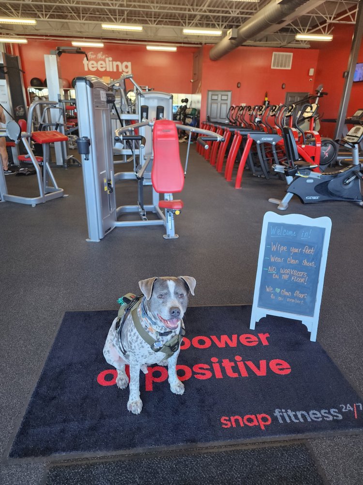 Snap Fitness Logo