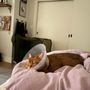 Photo of San Francisco Animal Medical Center
