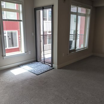 Carpet To Go - Even with sunlight these look great. - Carpeting Near Me - Bellevue, Washington Carpet To Go - Even with sunlight these look great. - Carpeting Near Me - Bellevue, Washington