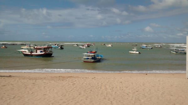 Praia do Forte by null