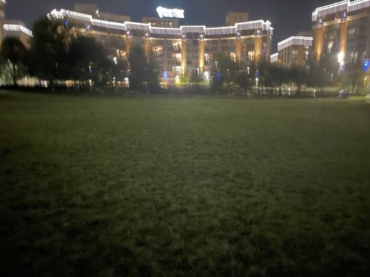 Turner Park by null