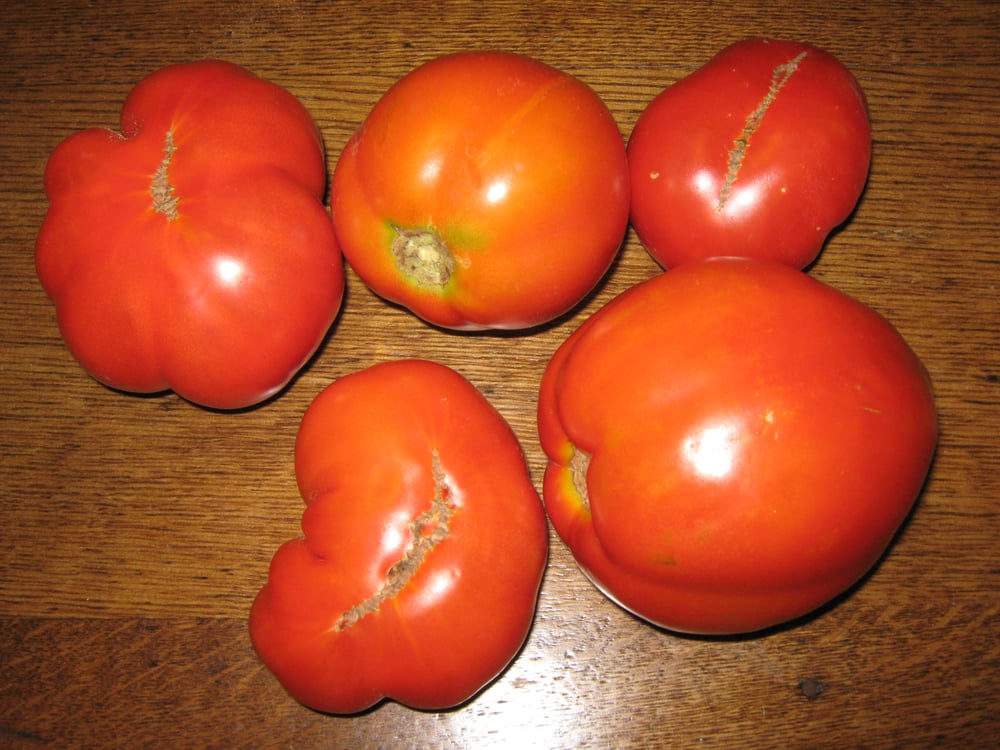 SRYBNY FARMS Updated August 2024 843 Hilldale Ave, Haverhill