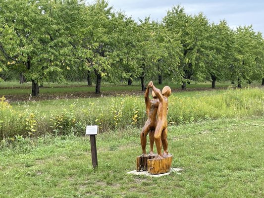 Grand Traverse Bike Tours by null