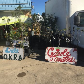 George's Produce - You can get your own plants! - Fruits & Veggies Near Me - Terrytown, Louisiana George's Produce - You can get your own plants! - Fruits & Veggies Near Me - Terrytown, Louisiana