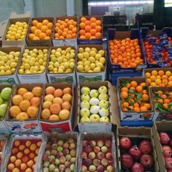 E & J Produce
