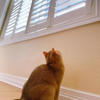 Sun Diego Shutter & Blinds - Shutters Near Me - Vista, California