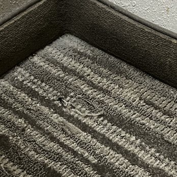Hyatt Place Birmingham/Hoover - Dirty carpet - Hotels Near Me - Hoover, Alabama Hyatt Place Birmingham/Hoover - Dirty carpet - Hotels Near Me - Hoover, Alabama
