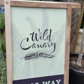 Wild Canary - Coffee & Tea Near Me - Brookfield, QLD