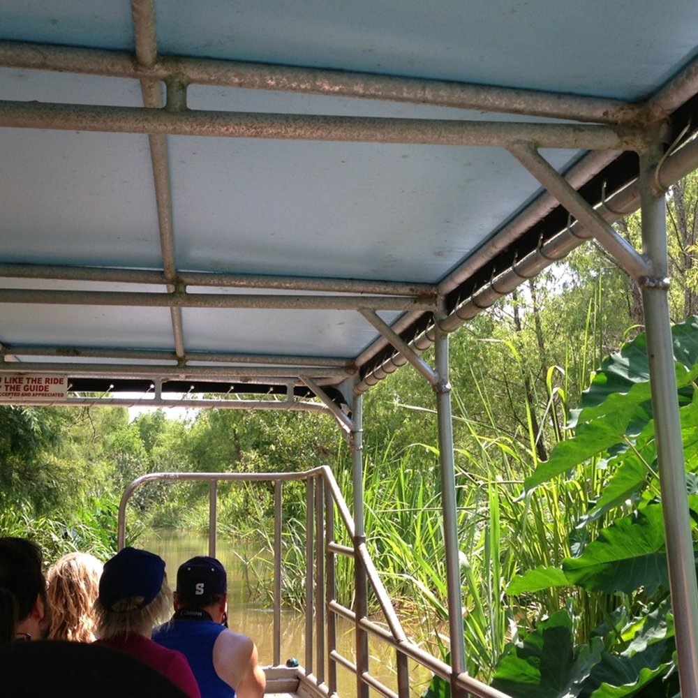 Pearl River Swamp Tours - Nice covered boat! - Tours Near Me - Slidell, Louisiana Pearl River Swamp Tours - Nice covered boat! - Tours Near Me - Slidell, Louisiana
