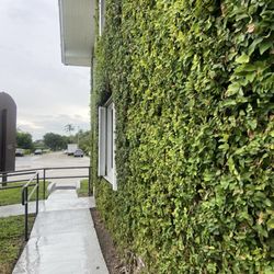 South Florida Dental Arts