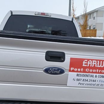 Earwig Pest Control - Pest Control Near Me Earwig Pest Control - Pest Control Near Me