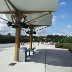Downtown Disney Bus Stop - West Side