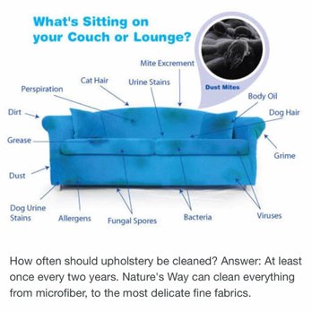 Nature's Way Carpet Cleaning - How long has it been since you had your upholstery cleaned? - Carpet Cleaning Near Me Nature's Way Carpet Cleaning - How long has it been since you had your upholstery cleaned? - Carpet Cleaning Near Me