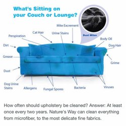 Nature's Way Carpet Cleaning - How long has it been since you had your upholstery cleaned?